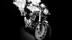 Bike vehicles transportation motorbikes