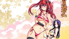 Bikini samurai girls Hyakka Ryouran Samurai Girls Yagyuu Juubei