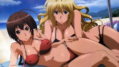 Bikini sekirei anime girls