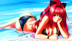 Bikini shinkyoku soukai polyphonica