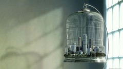 Birdcage cage cities