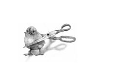 Birds Animals drawings cutting