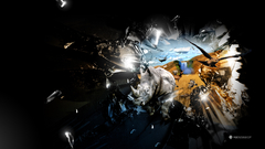 Birds Animals Eagles broken