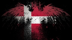 Birds Eagles Flags danish