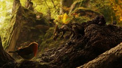 Birds fantasy art artwork