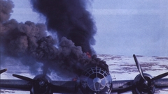 Birds fire front Crash