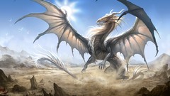Birds Flags White Dragon