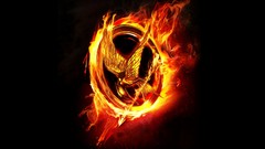 Birds flames logos the hunger games mockingjay