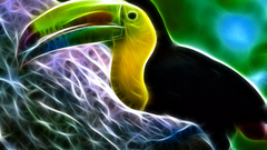 Birds Fractalius