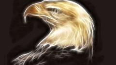Birds Fractalius Eagles