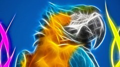 Birds Fractalius Parrots Blue-and-yellow