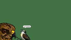 Birds funny questionable content