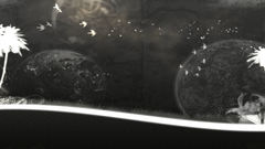 Birds grayscale palm trees