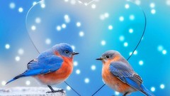 Birds Hearts bluebirds