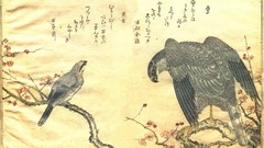 Birds Japanese paintings artwork falcon bird Kitagawa Utamaro