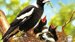 Birds nest baby birds