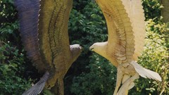 Birds osprey artwork wood carving