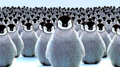 Birds Penguins