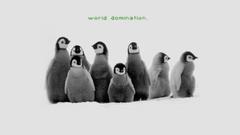 Birds Penguins baby birds