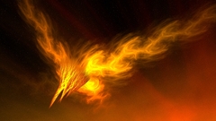 Birds phoenix artwork