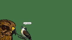 Birds questionable content yelling