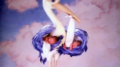 Birds sleeping babies storks Anne Geddes