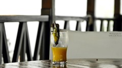 Birds Tables drinking orange juice