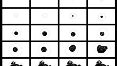 Birth human Michael Plaster