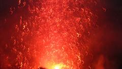 Bit busy and violent