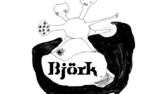 Bj rk Music bands