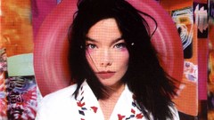 Bjork high