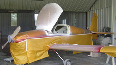 Black amp tan contributions