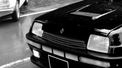 Black and white black