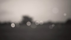 Black and white bokeh vague