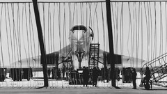 Black and white concorde