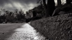 Black and white micro