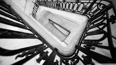 Black and white San Francisco stairs city hall