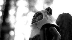 Black and white star wars Ewoks