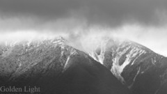 Black and white watermarked