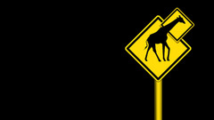 Black background Giraffes signs