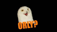 Black background Owls meme orly