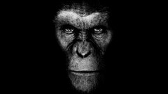 Black background Planet of the Apes monochrome
