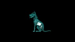black background x-rays dog skeleton Minimalism humor Animals