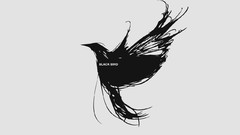 Black Bird