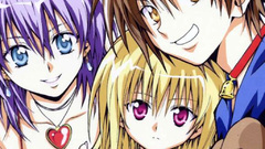 Black cat grave robber