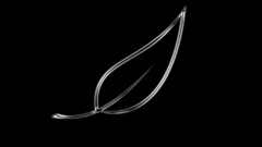 Black dreamerboy looking for