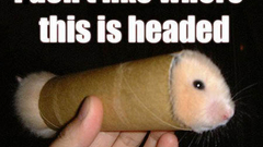 Black eyes tube train