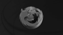 Black foxs netbooks computer