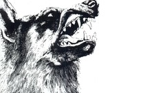 Black high phoenix crippled Resolution vigilante