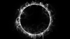 Black hole dual idisagreebecauseican